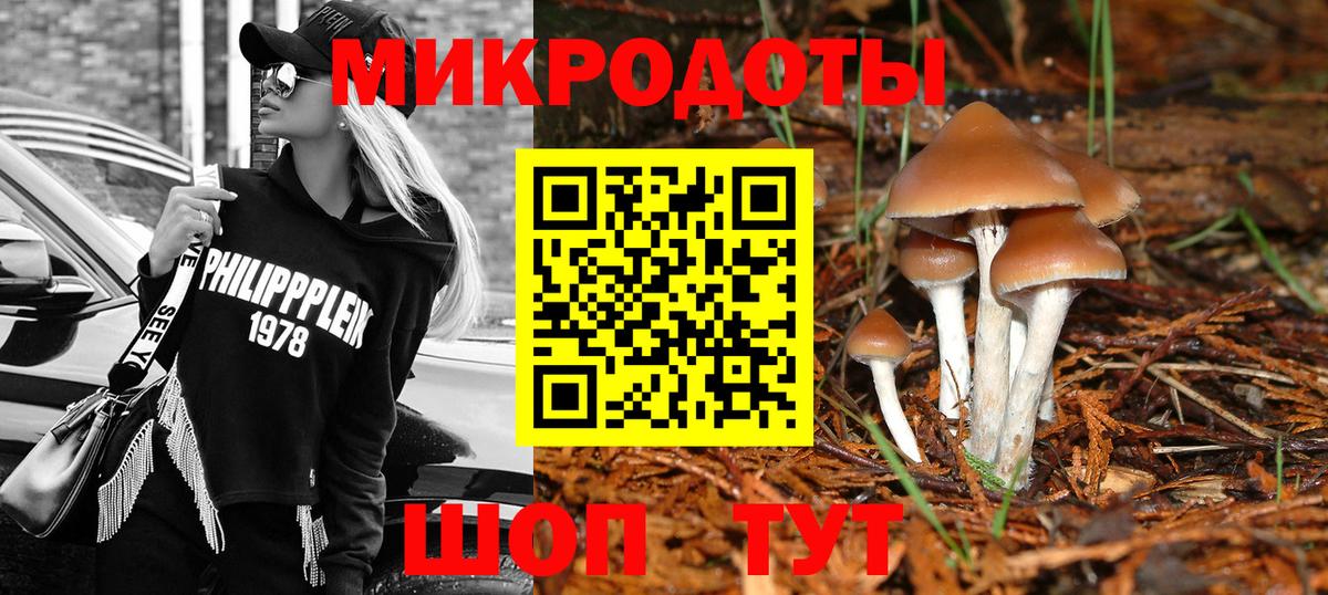 Псилоцибиновые грибы Magic Shrooms Нурлат