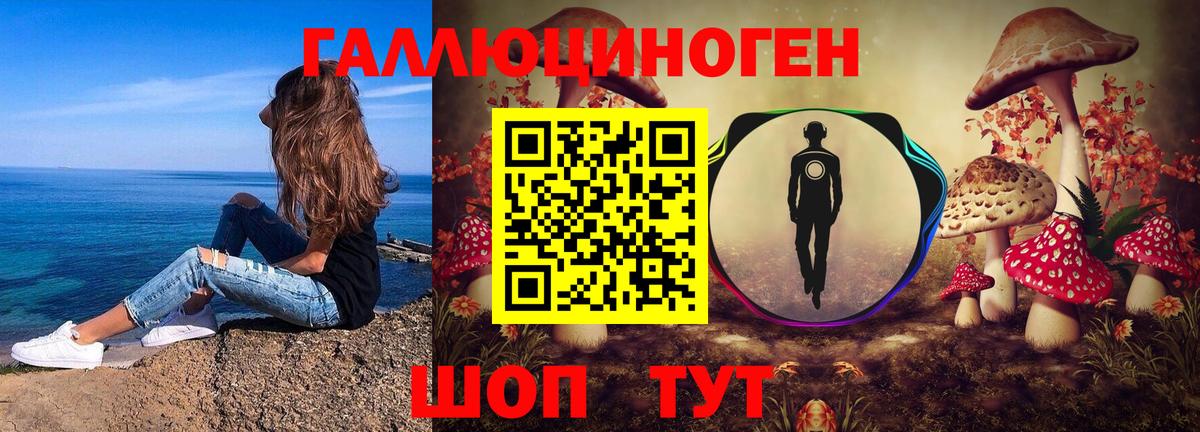 Псилоцибиновые грибы мухоморы  купить  сайты  Нурлат  Вход с VPN 